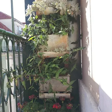 Low Cost - Vintage Lägenhet Lisboa